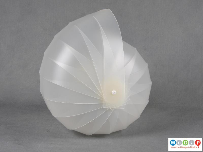 Side view of a lampshade showing the shell-like shape.