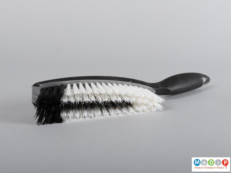 Underside view of a dustpan and brush showing the bristles.