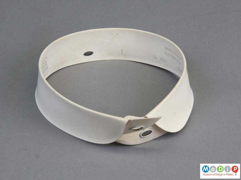Top view of a  collar  showing the round corners.