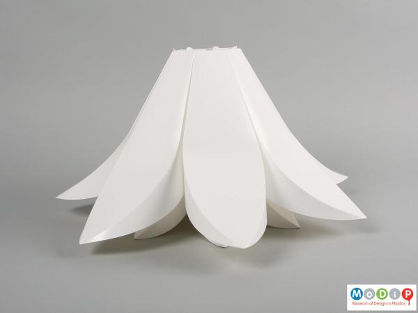 Side view of a lamp shade showing the curving petals.