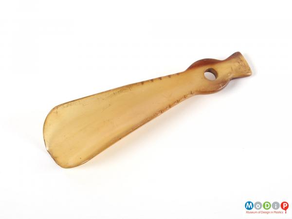 Front view of a shoehorn showing the thistle handle.