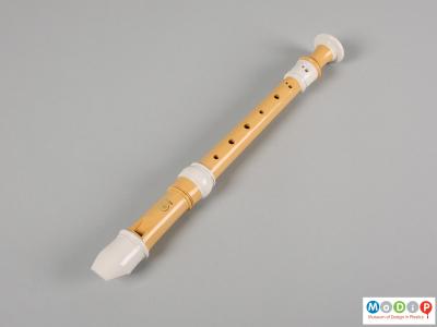 Side view of a recorder showing the two-tone colouring.