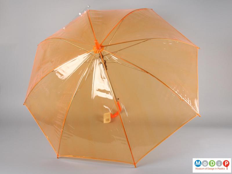 Top view of an umbrella showing the translucent material.