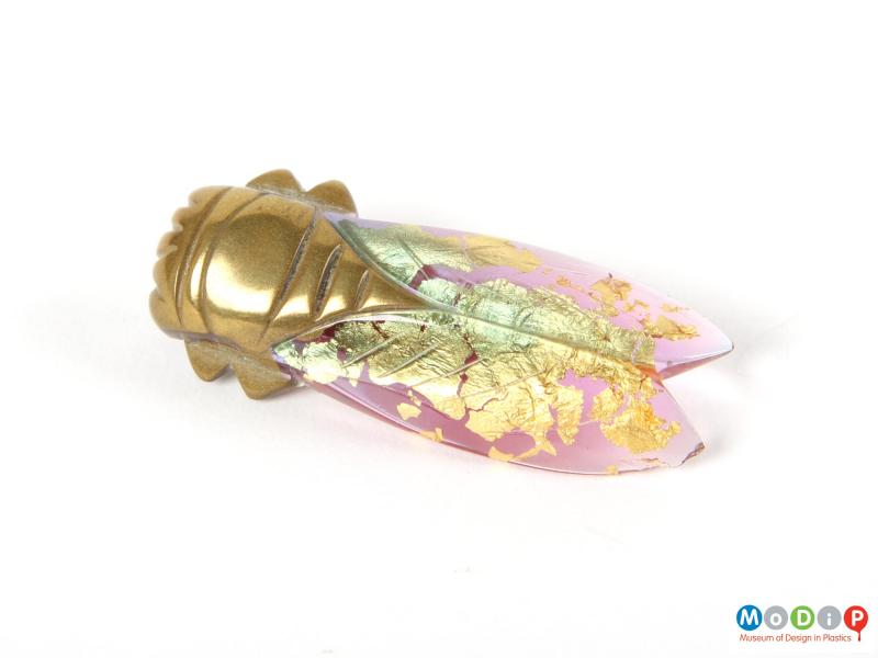 Front view of a Cicada bug brooch showing the translucent wings.