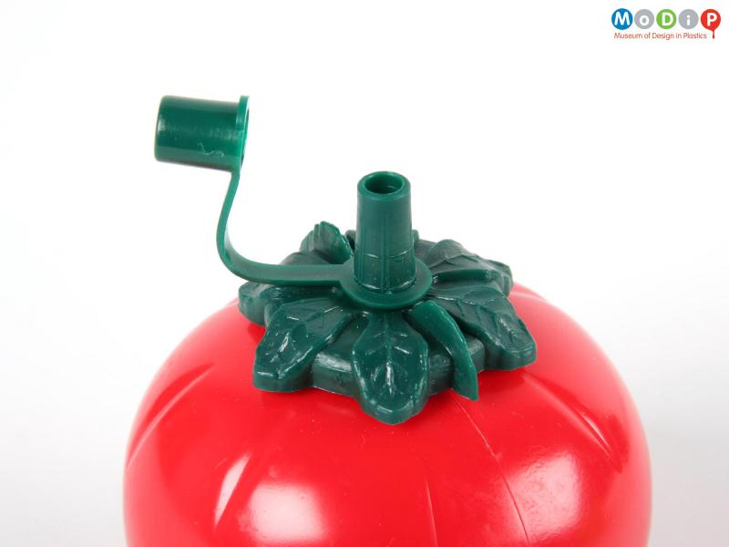 Close view of a tomato sauce bottle showing the leaves and open stopper on the top.