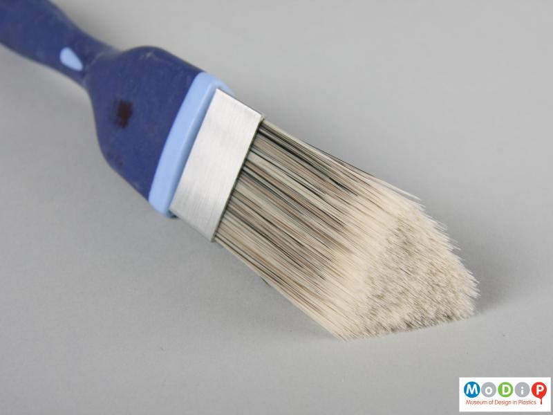 Close view of a paint brush showing the bristles.