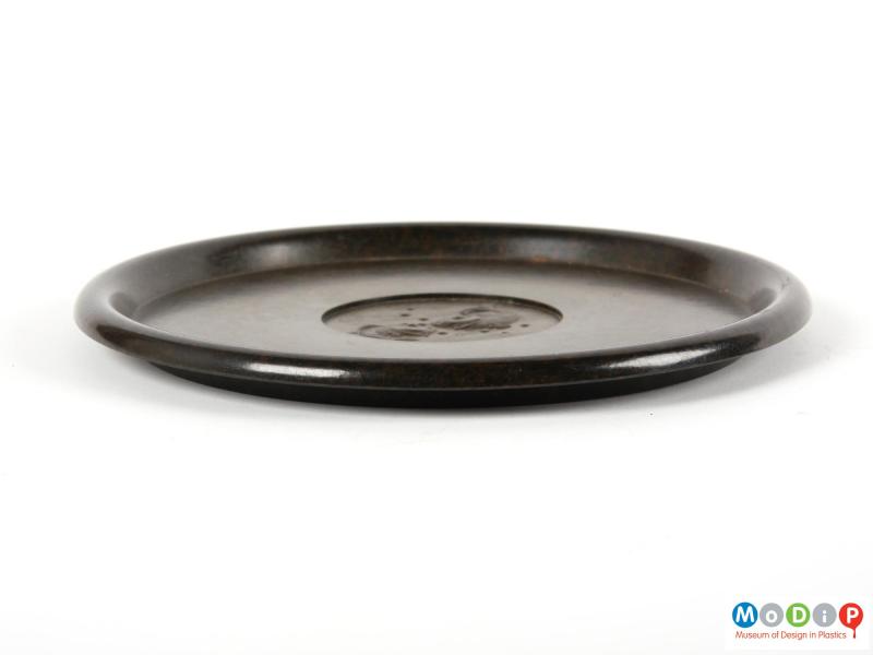 Side view of a dish showing the curving rim.