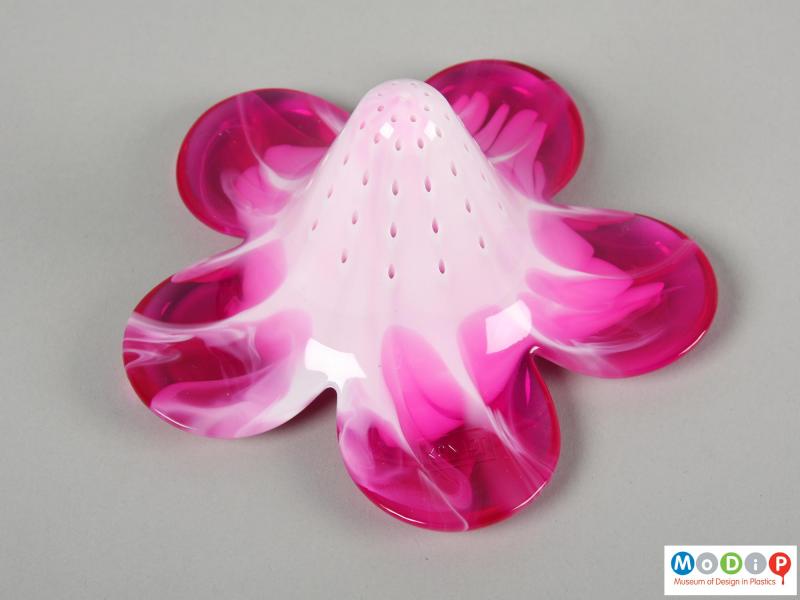 Underside view of a tea strainer showing the conical shape of the flower.