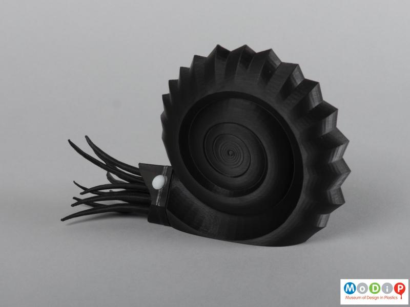 Side view of a 3D printed ammonite showing the coiled shape.