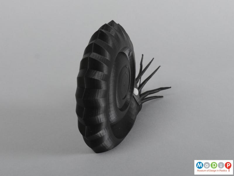 Rear view of a 3D printed ammonite showing the shell pattern.