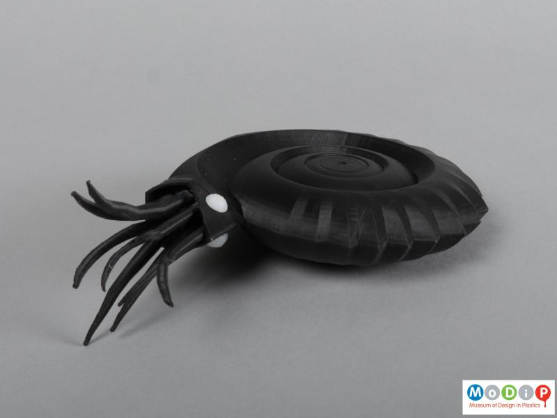 Top view of a 3D printed ammonite showing the shell pattern.