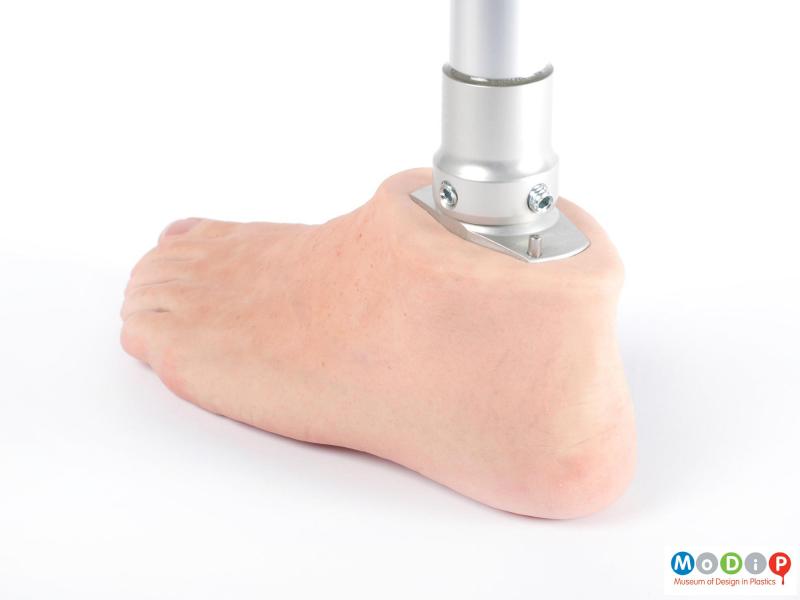 Close view of a prosthetic leg showing the heel of the silicone foot.