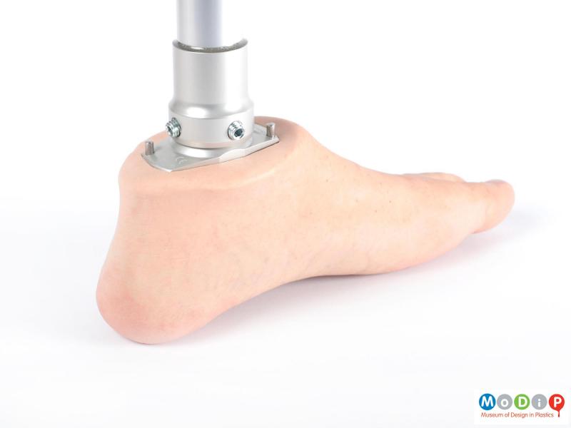 Close view of a prosthetic leg showing the inner edge of the silicone foot.