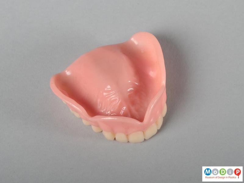 Top view of a upper denture showing the fitting plate.