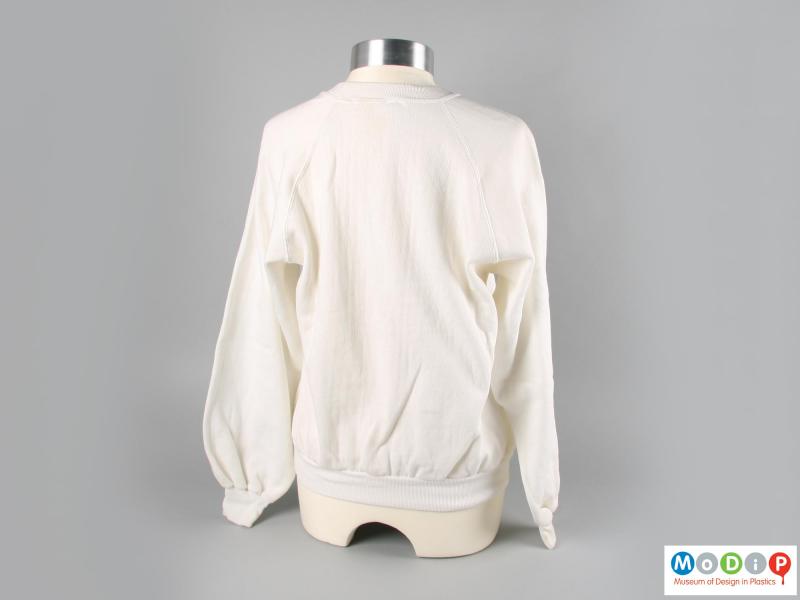 Rear view of a sweat shirt showing the plain white back and round collar.