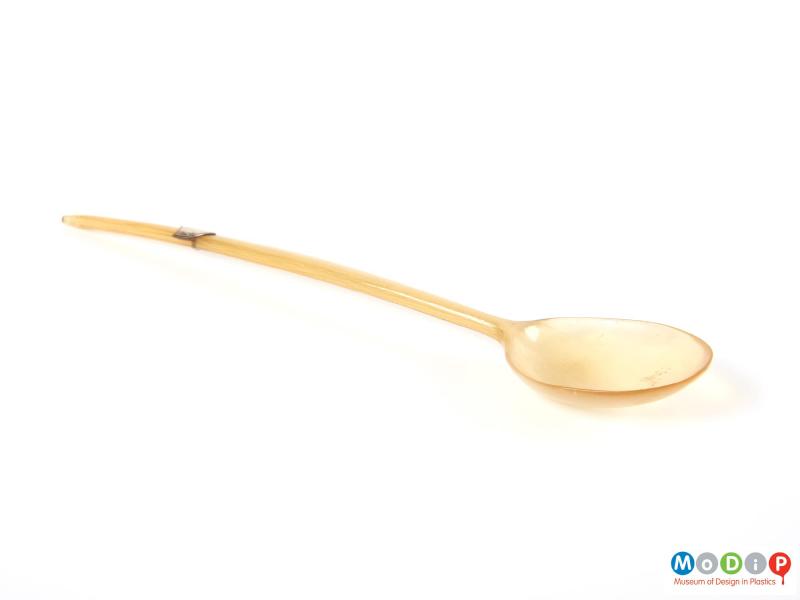 Side view of a spoon showing the curve in the handle and depth of the bowl.