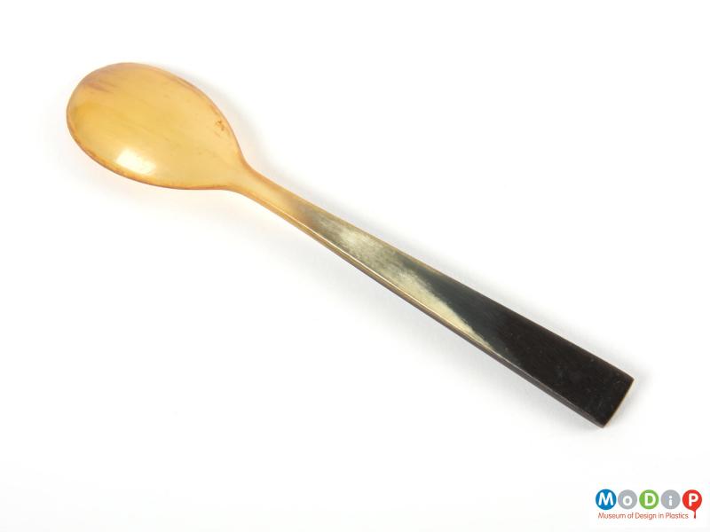 Underside view of a spoon showing the bowl and handle.