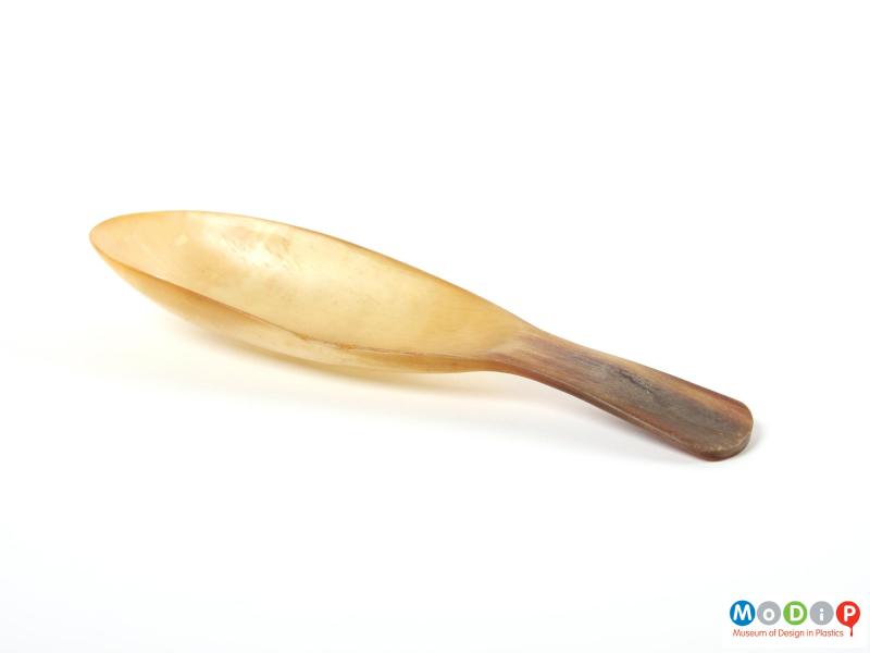 Side view of a spoon showing the curve in the handle and depth of the bowl.