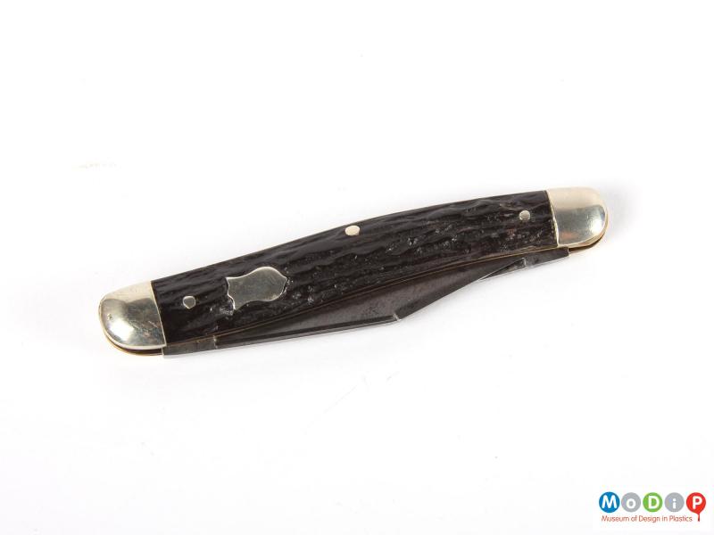 Side view of a penknife showing the antler scales.