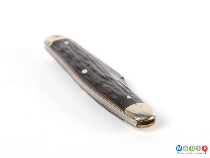 Side view of a penknife showing the antler scales.