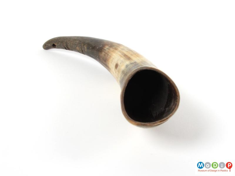 Side view of a drenching horn showing that it is hollow.