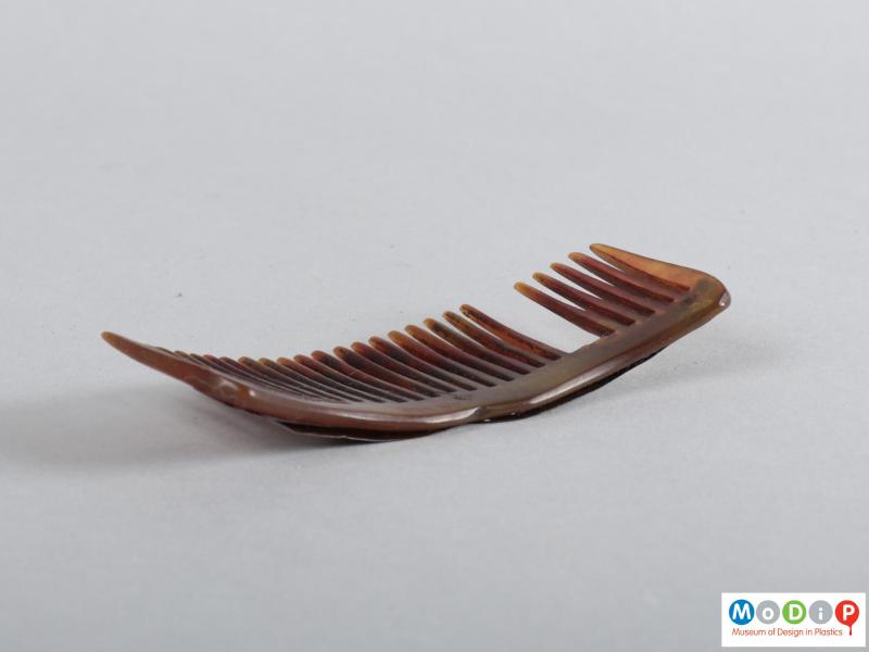 Side view of a comb showing the heading.