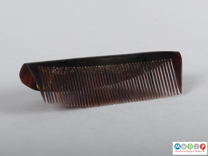 Underside view of a comb showing the teeth.