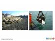 Images provided by Naue showing the sand bags in situ and being lowered into the water.
