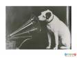 Scanned image showing Nipper, HMV's mascot dog.