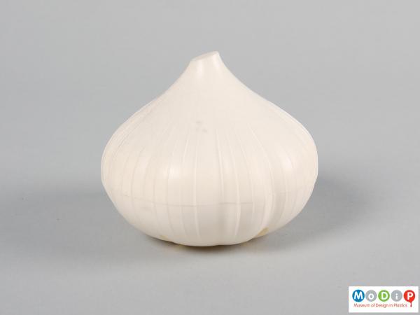 Side view of a container showing the garlic bulb shape.