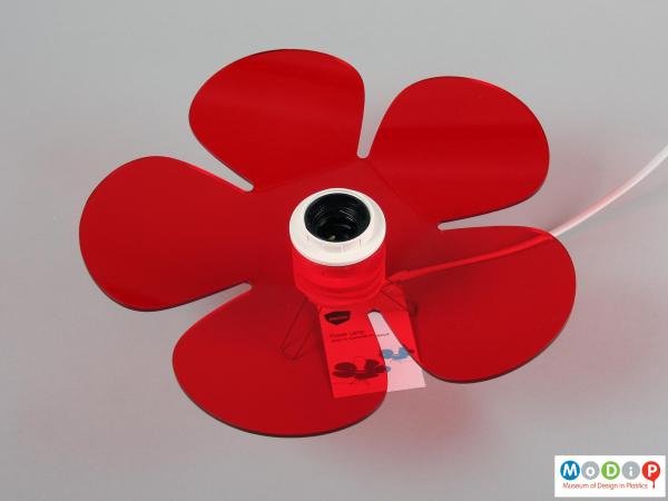 Top view of a table lamp showing the flower shape.