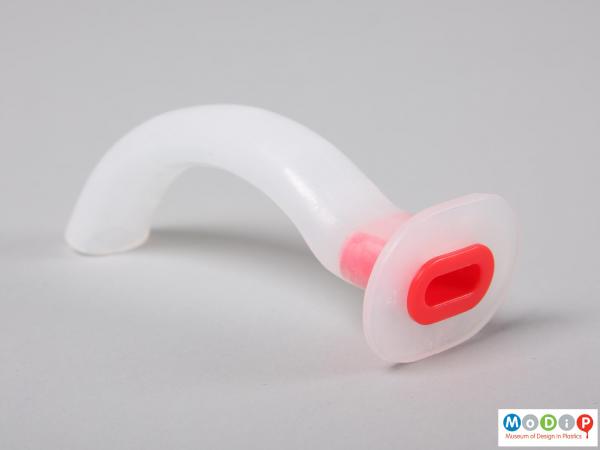 Side view of an airway showing the mouth piece.