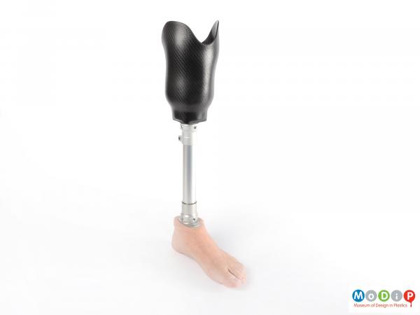 Side view of a prosthetic leg showing the inner edge of the carbon fibre composite cup and silicone foot.