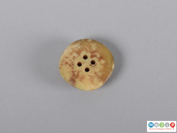 Front view of a button showing the round shape.