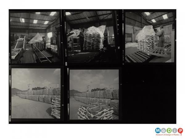 Scanned image showing a 5 image contact sheet.