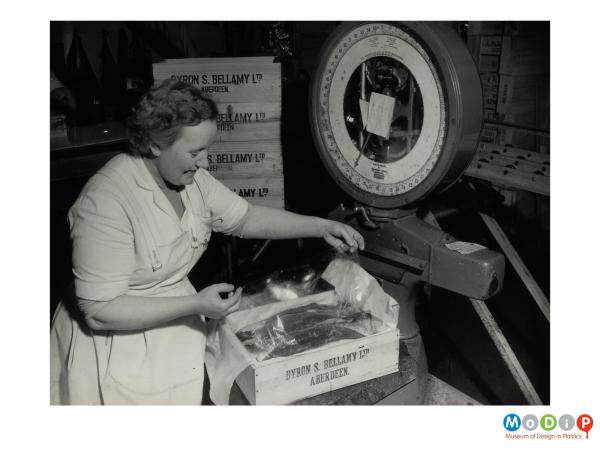 Scanned image showing a lady wrapping fish in plastic sheeting.
