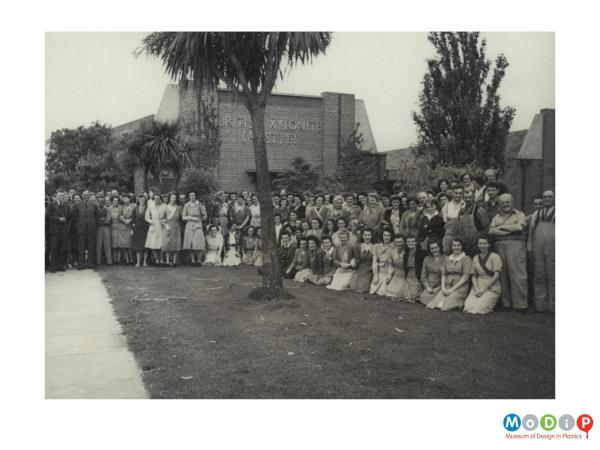 Scanned image showing a group of employees under palm trees.
