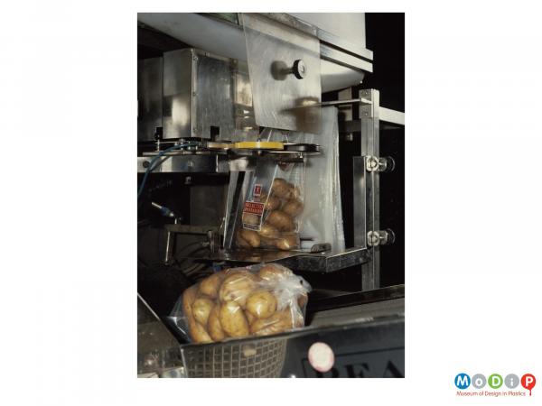 Scanned image showing potatoes being bagged.