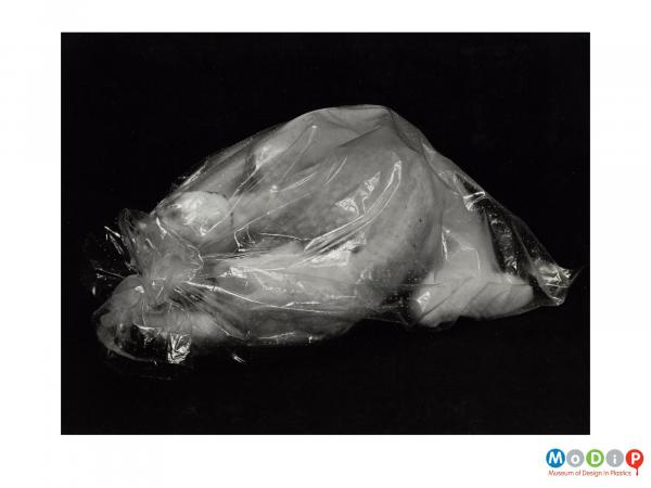 Scanned image showing a raw chicken in aclear bag.