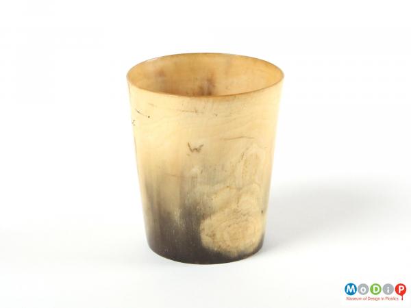 Side view of a beaker showing the natural patterning of the horn.