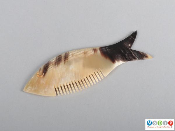 Top view of a comb showing the teeth on either side.