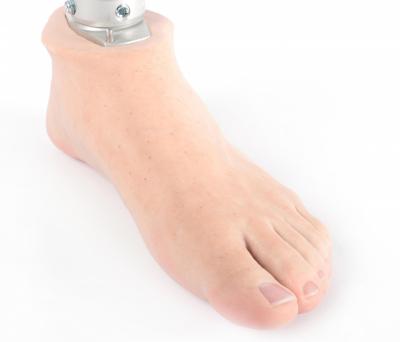 Dorset Orthopaedics Foot