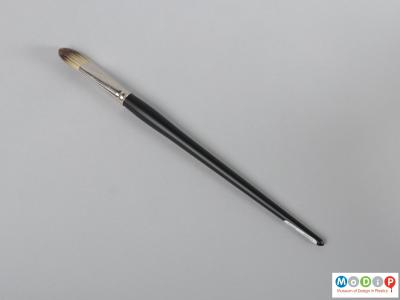 Top view of a brush showing the long handle and rounded head.